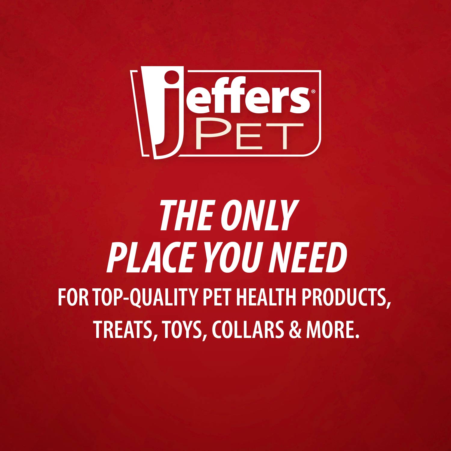 Jeffers Red Hockey Puck Natural Rubber Treat Dispensing Dental Dog Chew Toy